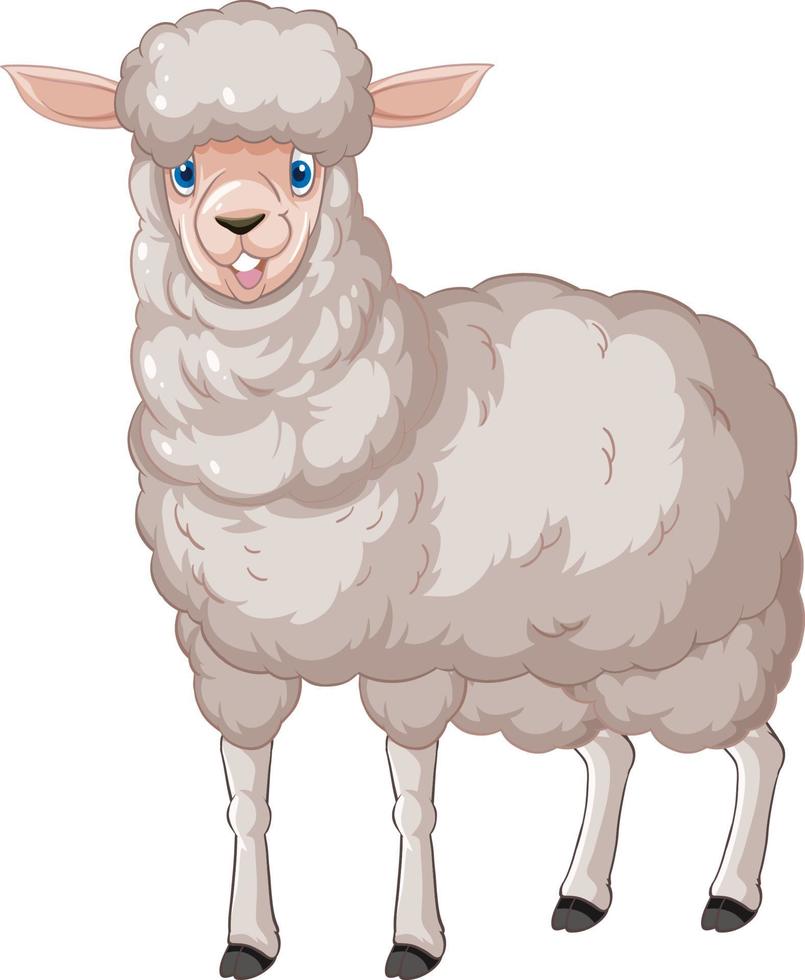 ett får poserar på vit bakgrund vektor