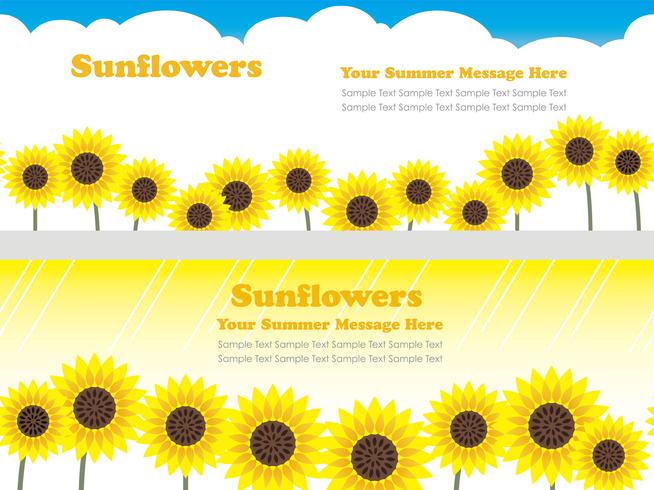 Satz nahtloser Hintergrund des Vektors zwei mit Sonnenblumen und Textraum. vektor