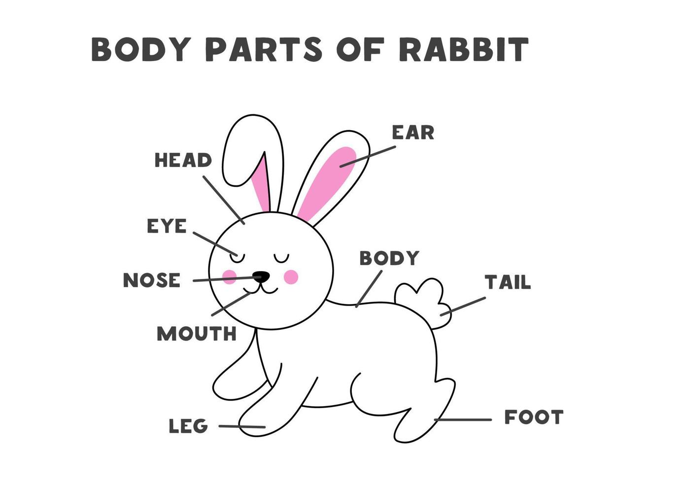 Körperteile des Kaninchens. Schema für Kinder. vektor