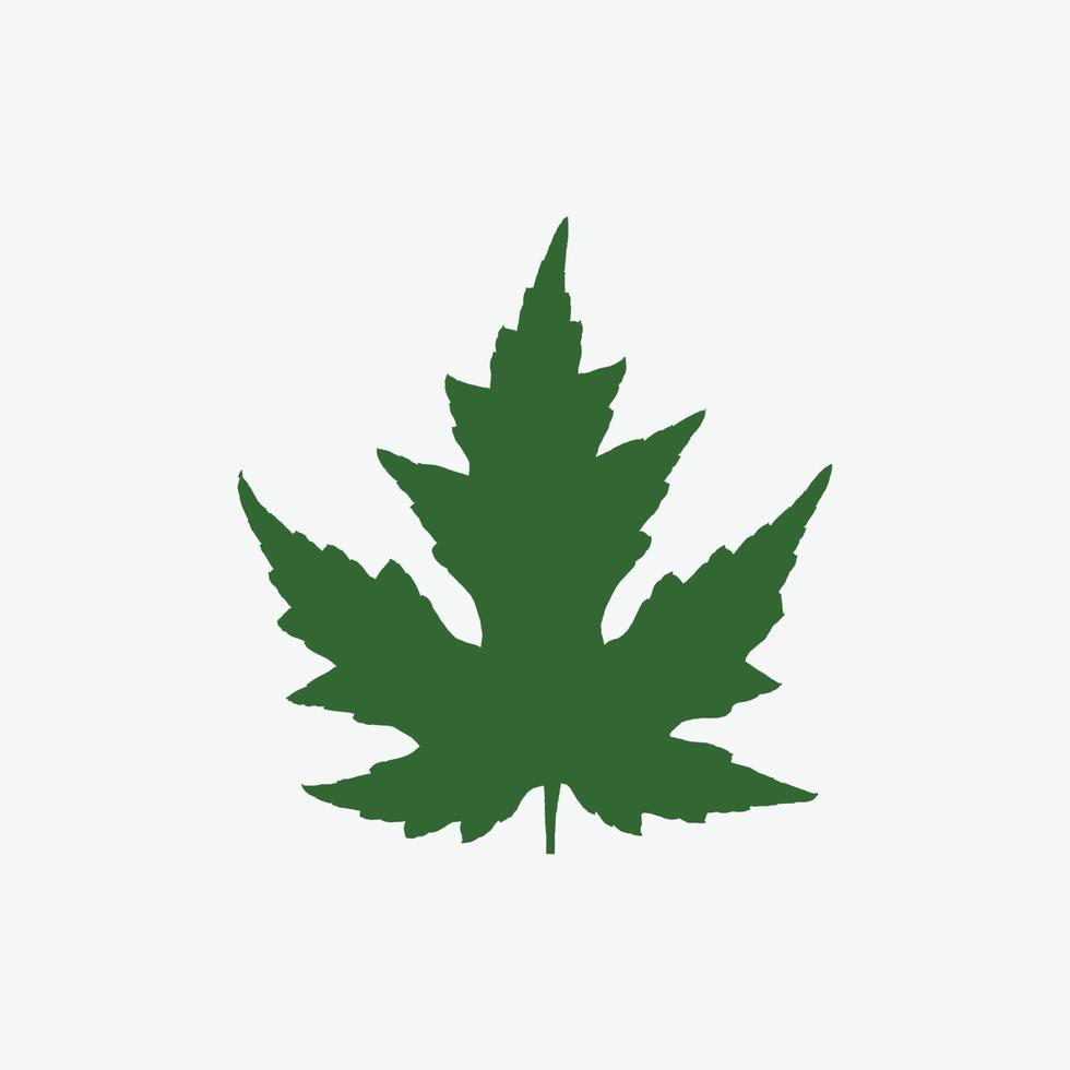 grünes Ahornblatt isoliert auf weißem Hintergrund. vektor