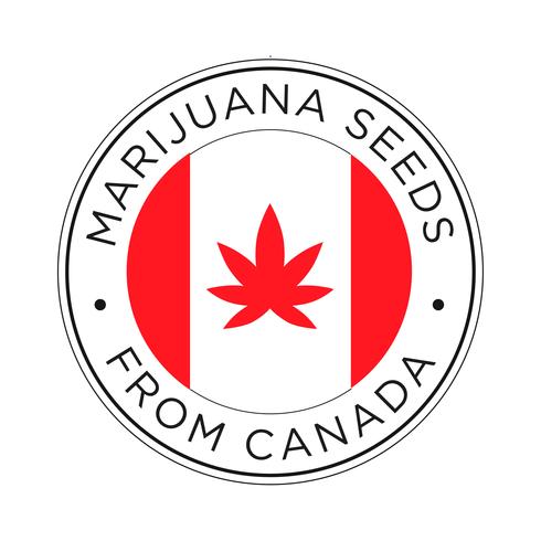 Marihuana-Samen aus Kanada-Symbol. vektor