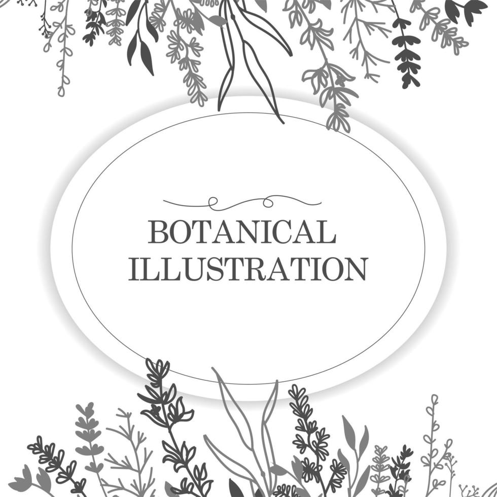 Blumenbanner-Postkarte mit Blättern und Ästen. der Rahmen ist auf einem weißen Hintergrund isoliert. für Hochzeitseinladungen, Postkarten, Poster, Kosmetik- und Parfümetiketten. Vektor-Illustration vektor