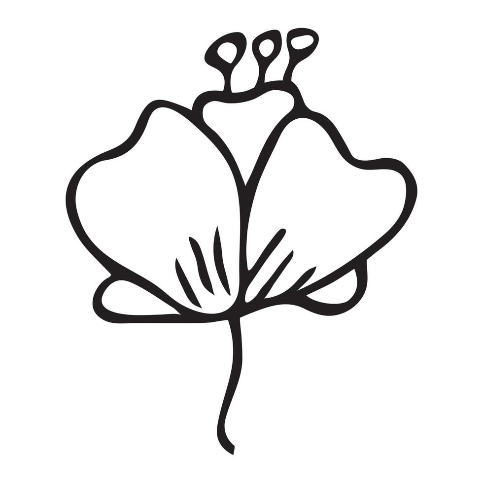 einfaches Vektorblumengekritzel. handgezeichnetes Umrisssymbol. Blumenillustration lokalisiert auf weißem Hintergrund. vektor