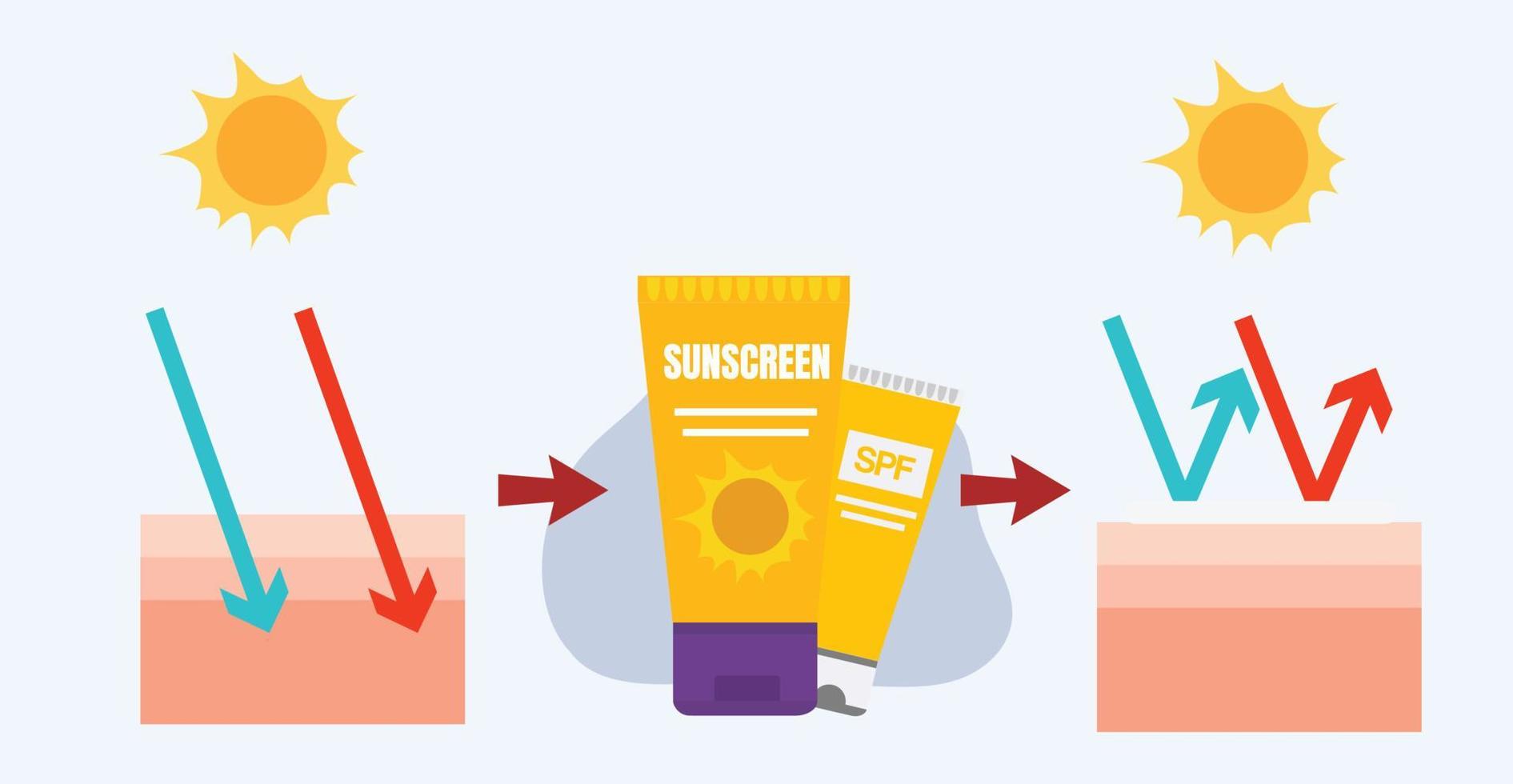 vektor-infografik von sonnenschutz, hautpflegekonzept, sonnencreme, sonnenblocker. vor der anwendung von sonnenschutzmitteln auf hautschichten. vektor