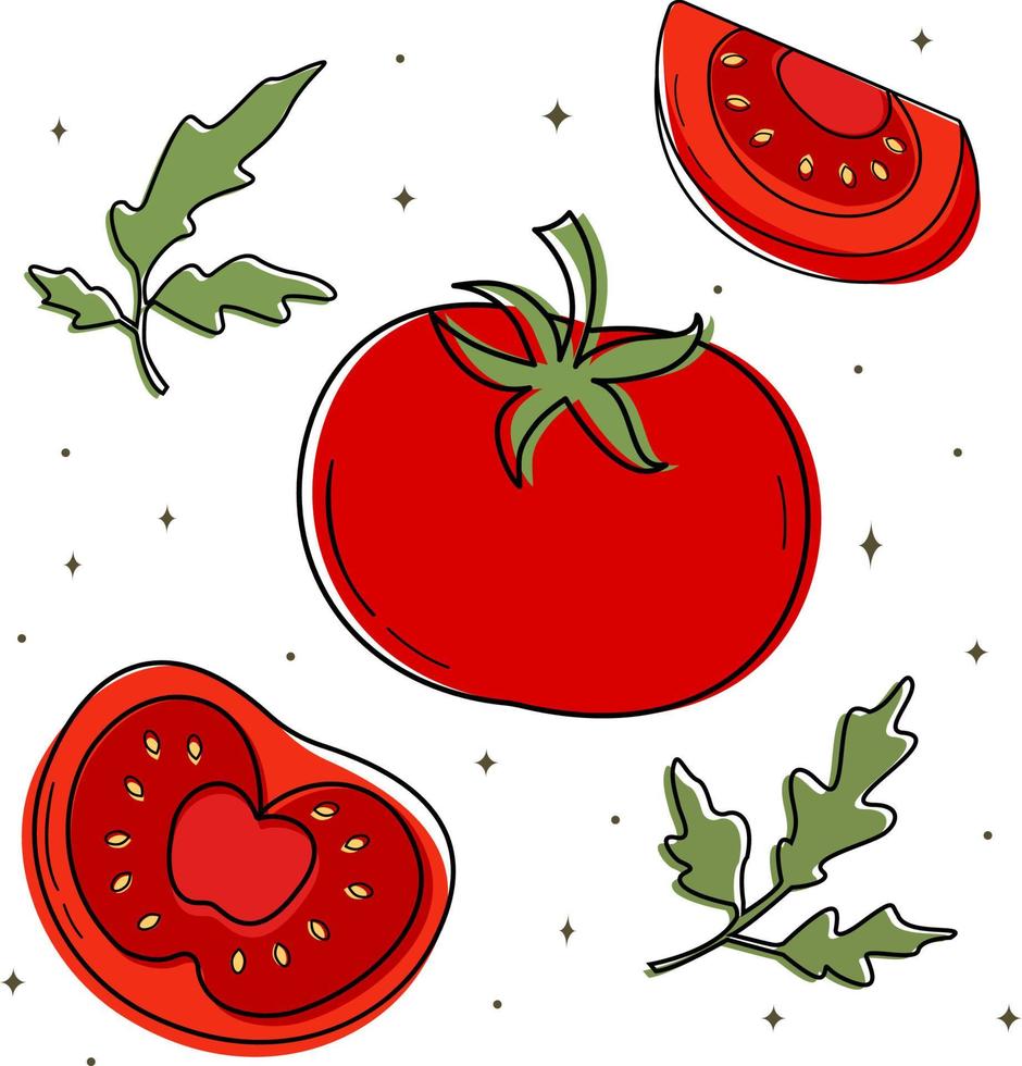 vektor illustration av en uppsättning med tomater. designelement för reklam och omslag, barnböcker, matillustrationer. grönsaker tomat. kostnäring. användbara produkter