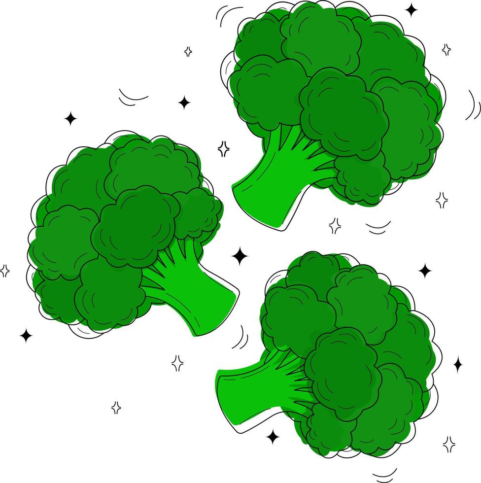 Vektor-Illustration von Brokkoli auf weißem Hintergrund. ein isoliertes Element für Design, für Menüs, Anzeigen und Cover, Kinderbücher, Lebensmittel und Lebensmittelillustrationen. vektor