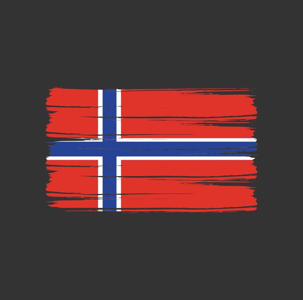 norge flaggborste vektor