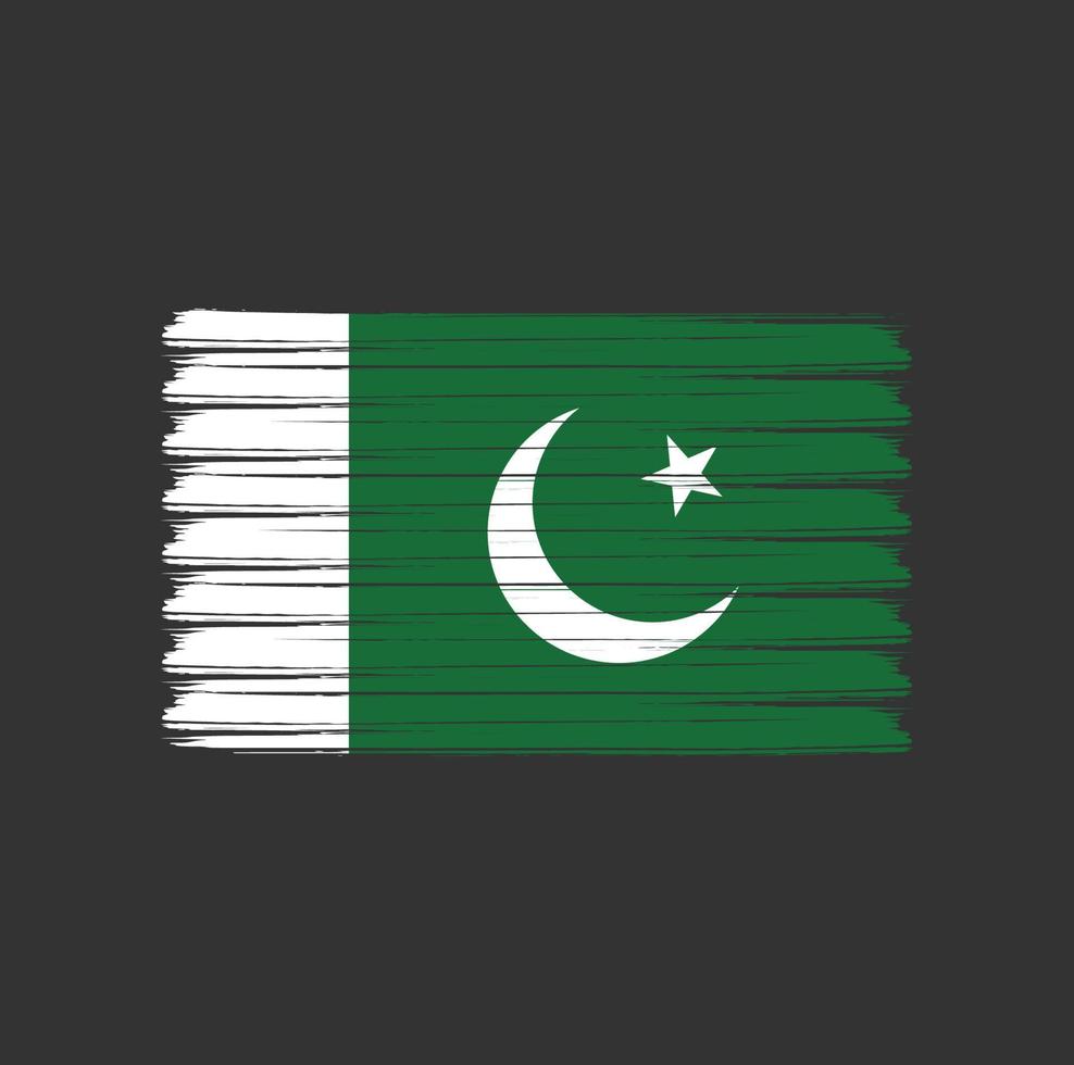 Pinselstriche der pakistanischen Flagge. Nationalflagge vektor