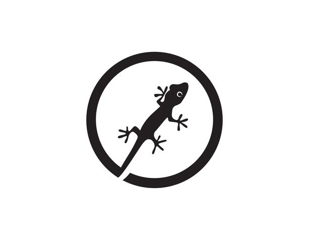 Eidechsen-Chamäleon-Gecko-Schattenbildschwarzvektor vektor