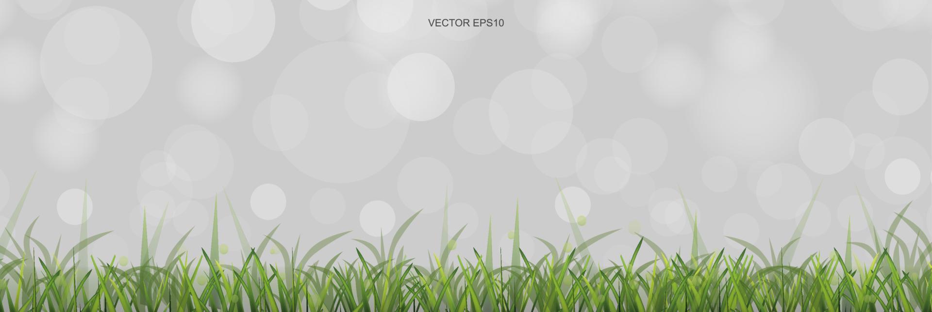 grönt gräsfält med ljus suddig bokeh bakgrund. vektor. vektor