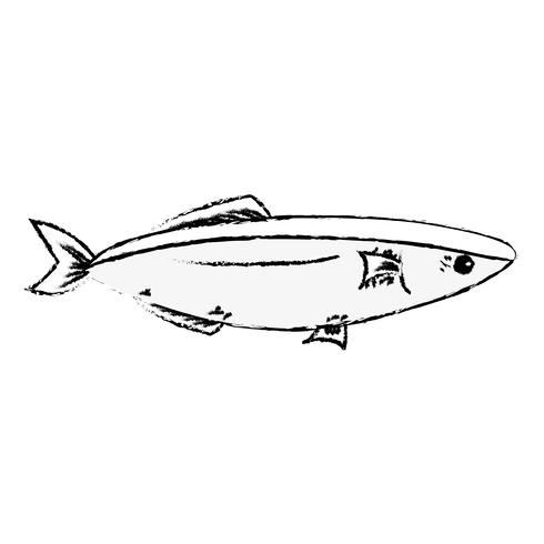 Figur köstliche Meeresfrüchte Fisch mit natürlicher Ernährung vektor