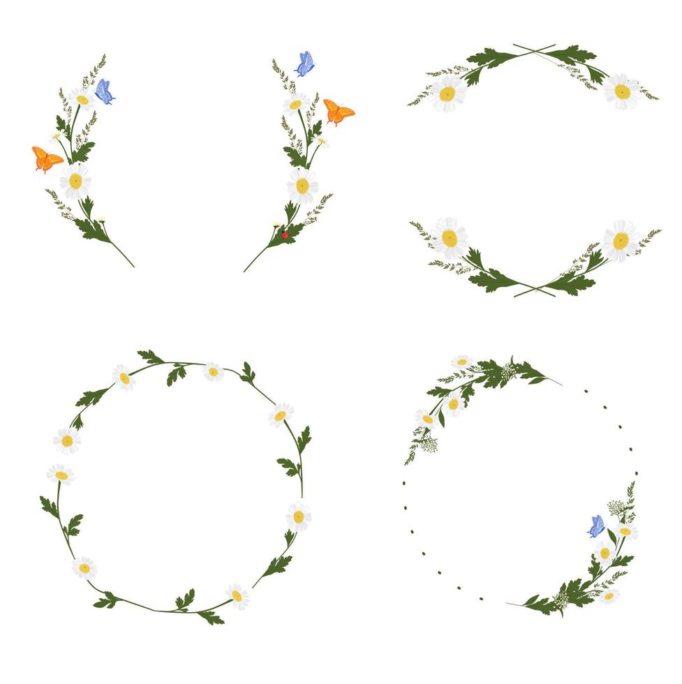 daisy wreath set vektor stock illustration. kamomill. en vinjett av ängsblommor. design för inbjudan, bröllop eller gratulationskort. en cirkel av färska örter och löv. fjärilar. isolerad på en wh