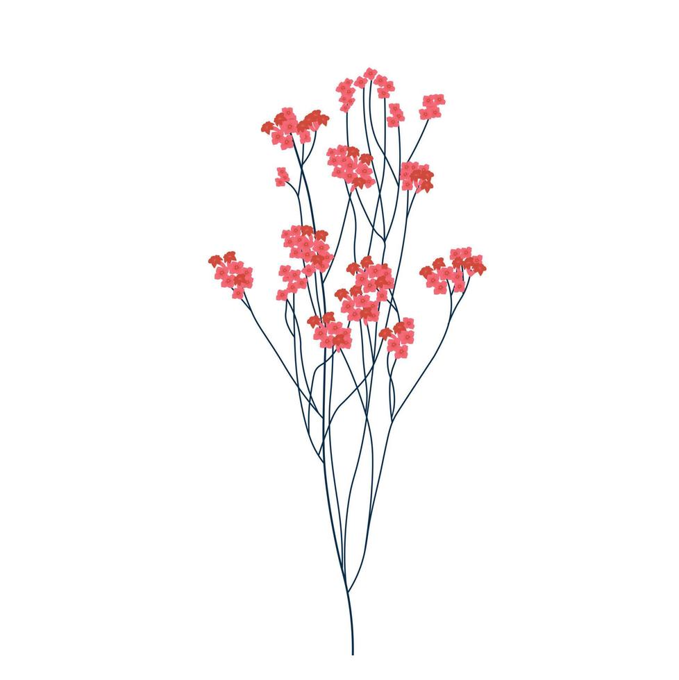 gypsophila rosa vektorvorratillustration. ein Zweig trockener roter Blüten. isoliert auf weißem Hintergrund. vektor