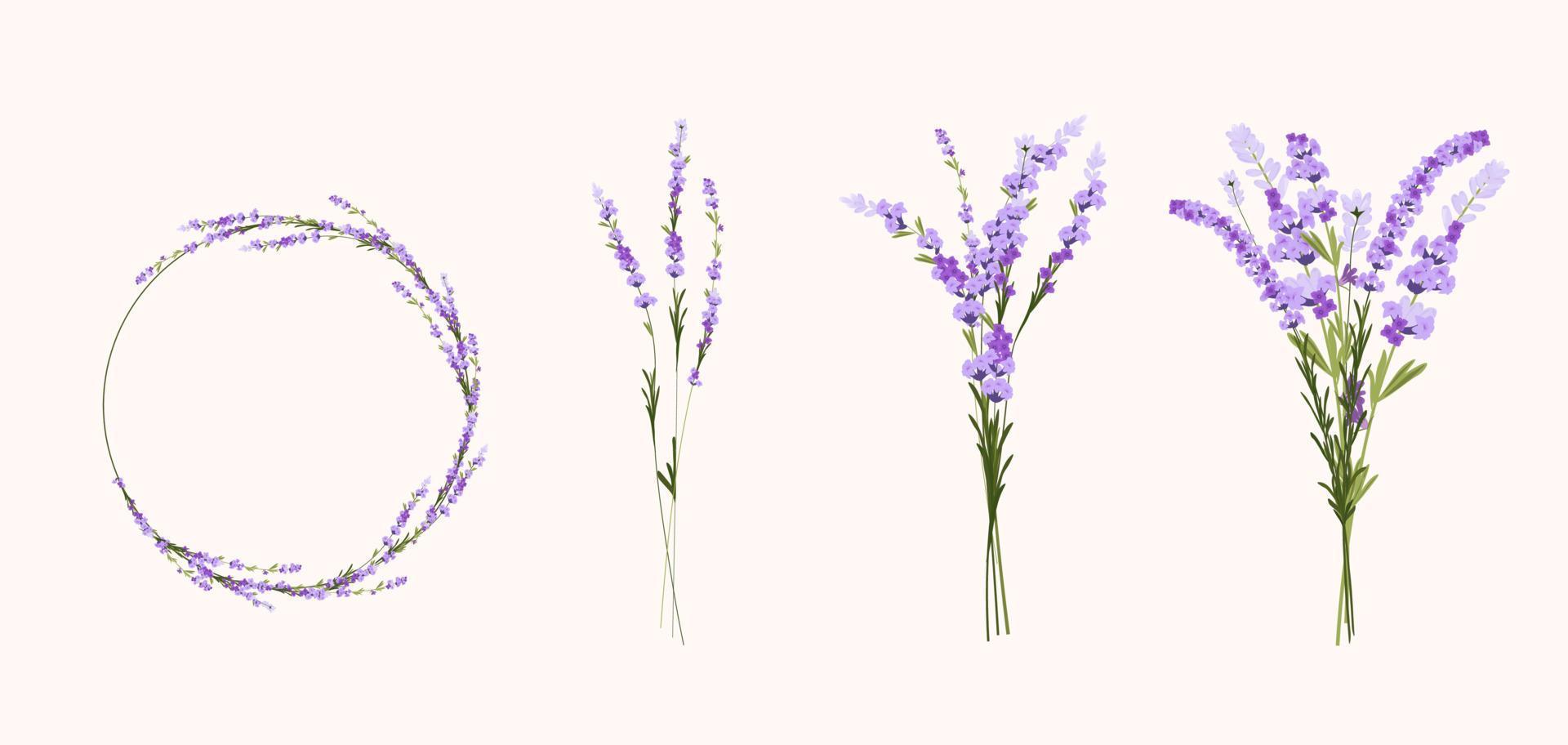 lavendel gesetzte vektorvorratillustration. ein Strauß lila Blumen. runder Rahmenkranz aus violetten Knospen. lila Zweige. vektor