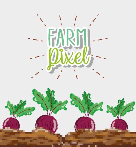 Farm Pixel Cartoons vektor