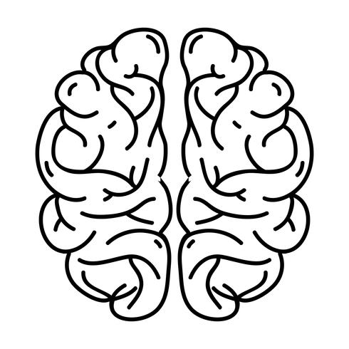 Linie menschlichen Gehirns Anatomie kreativ und Intellekt vektor