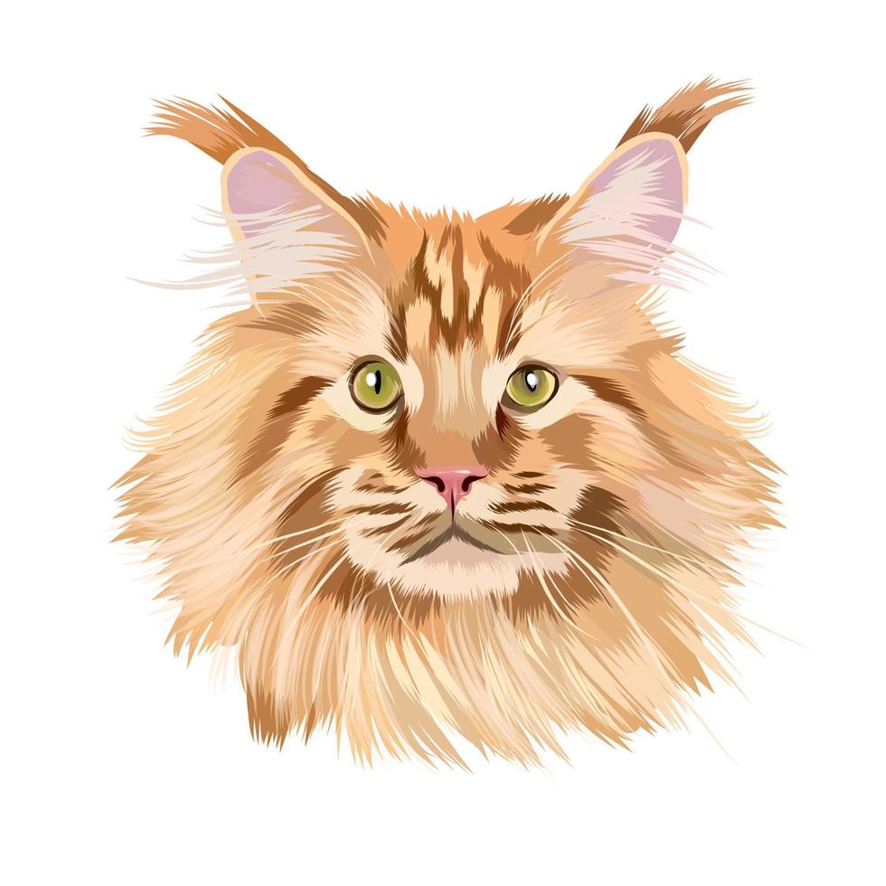 Kopfporträt eines schönen roten Maine Coon aus bunten Farben. farbige Zeichnung. Vektor-Illustration von Farben vektor