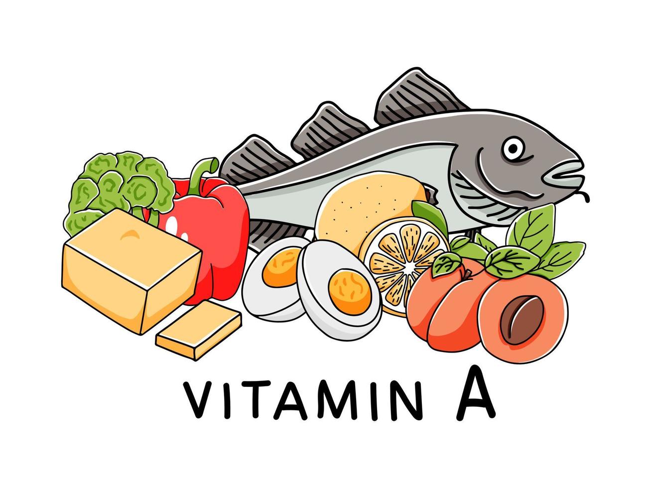 vitamin a banner mall. handritad stil med inslag av produkter - källor till vitamin a. vektor illustration, lämplig för broschyr, flygblad eller affisch design