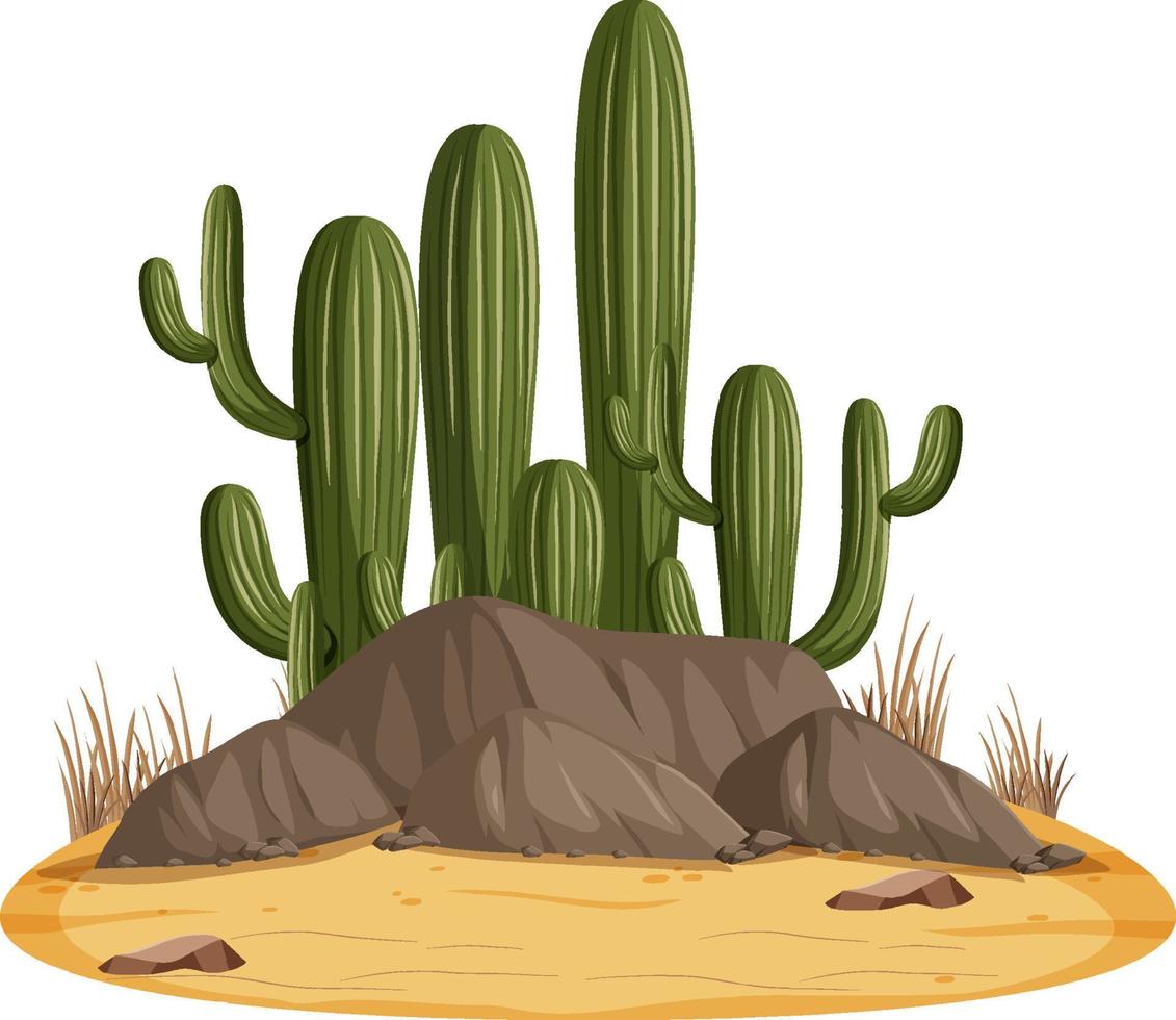 isolierte Wüstenlandschaft mit Kaktus vektor