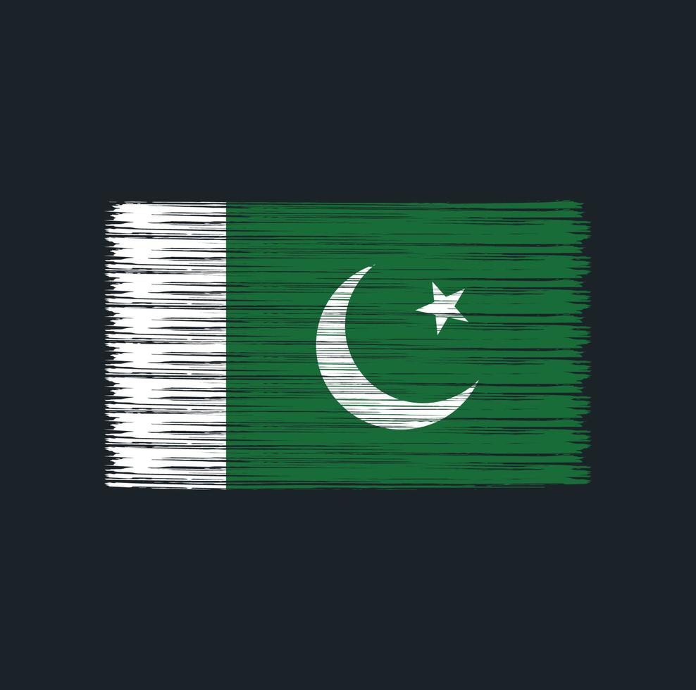 pakistansk flaggborste. National flagga vektor