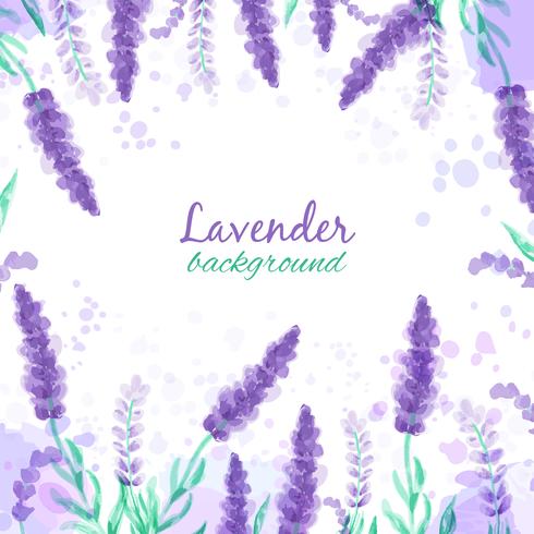 Lavendelhintergrund mit Blumen. Nachgemachtes Design des Aquarells mit Farbe spritzt Art der Vektorillustration Provence. Zeichnen für Grußkarten, Einladungen vektor