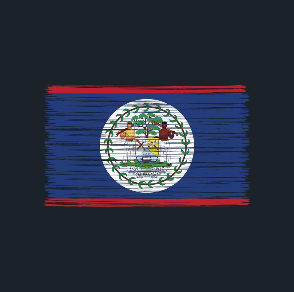 belize flagga borste. National flagga vektor