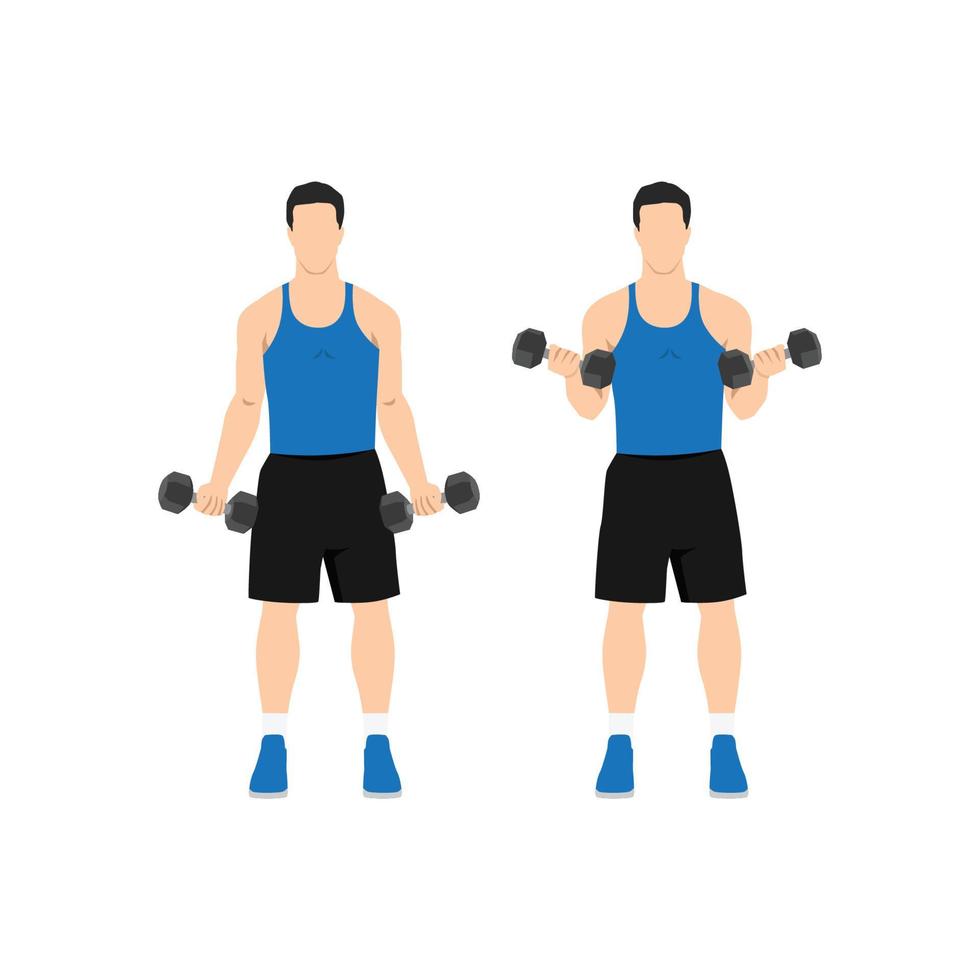 Mann, der Bizeps-Curls mit Kurzhantel im Stehen macht. flache vektorillustration lokalisiert auf verschiedenen ebenen. Trainingscharakter vektor