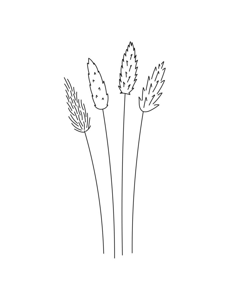 Zuckerrohr-Doodle-Blume. schwarz und weiß mit Strichzeichnungen. handgezeichnete botanische illustration vektor