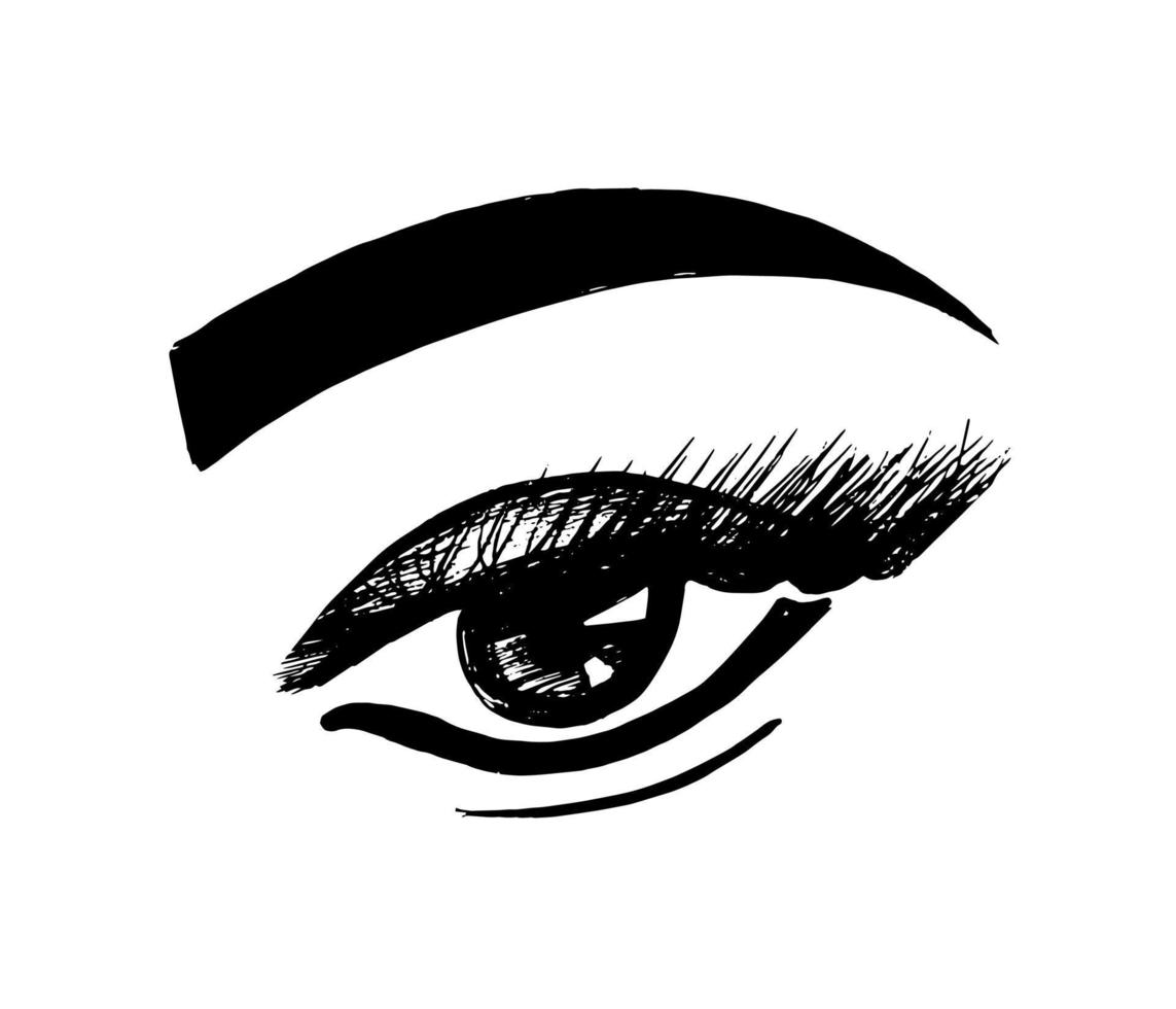 Augen-Logo. Make-up-Vektorskizze. Wimpern Augenbraue - Abbildung isoliert auf weißem Hintergrund. Aussehen - Schwarz-Weiß-Symbol vektor