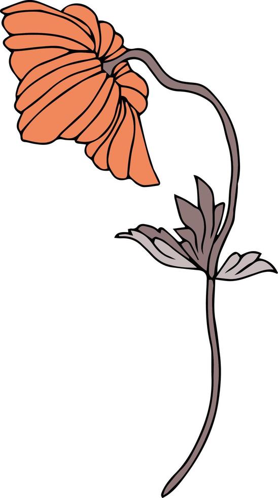 vektor mönster av vallmo blommor med blad. botanisk illustration för tapeter, textil, tyg, kläder, papper, vykort
