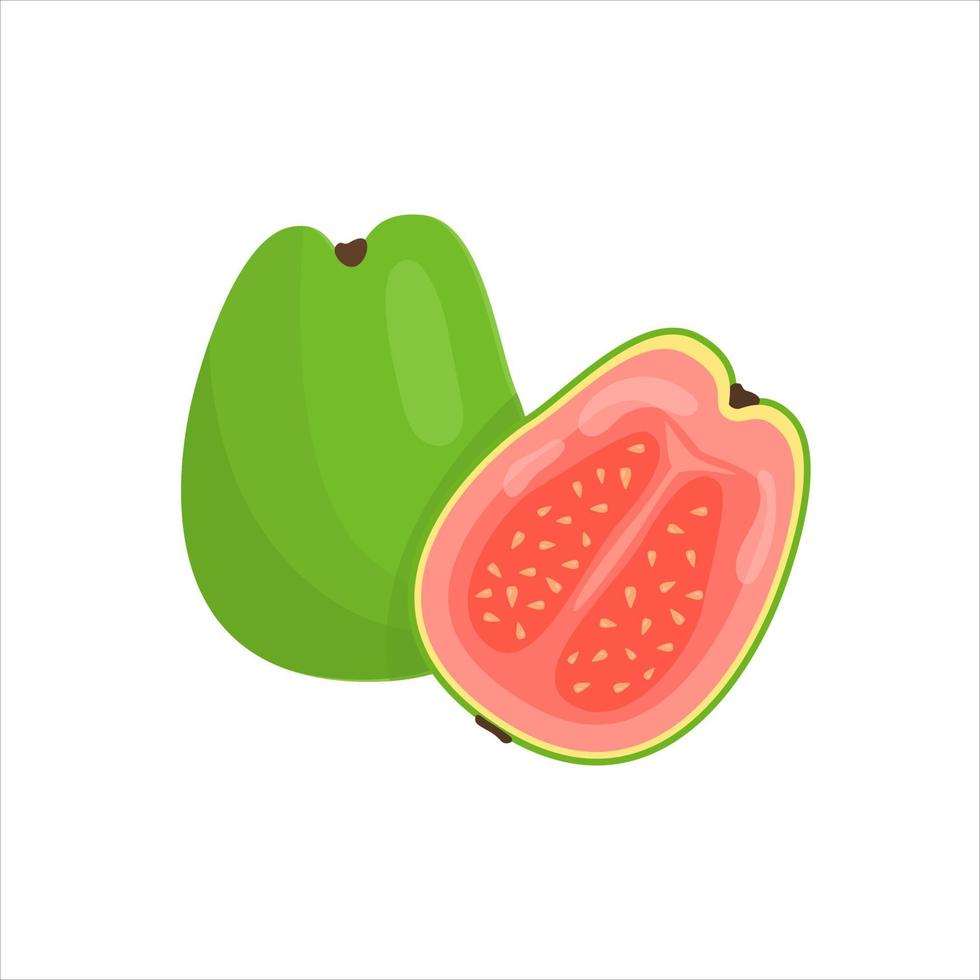 Guave, ganze Frucht und Hälfte. frische Bio-Lebensmittel vektor