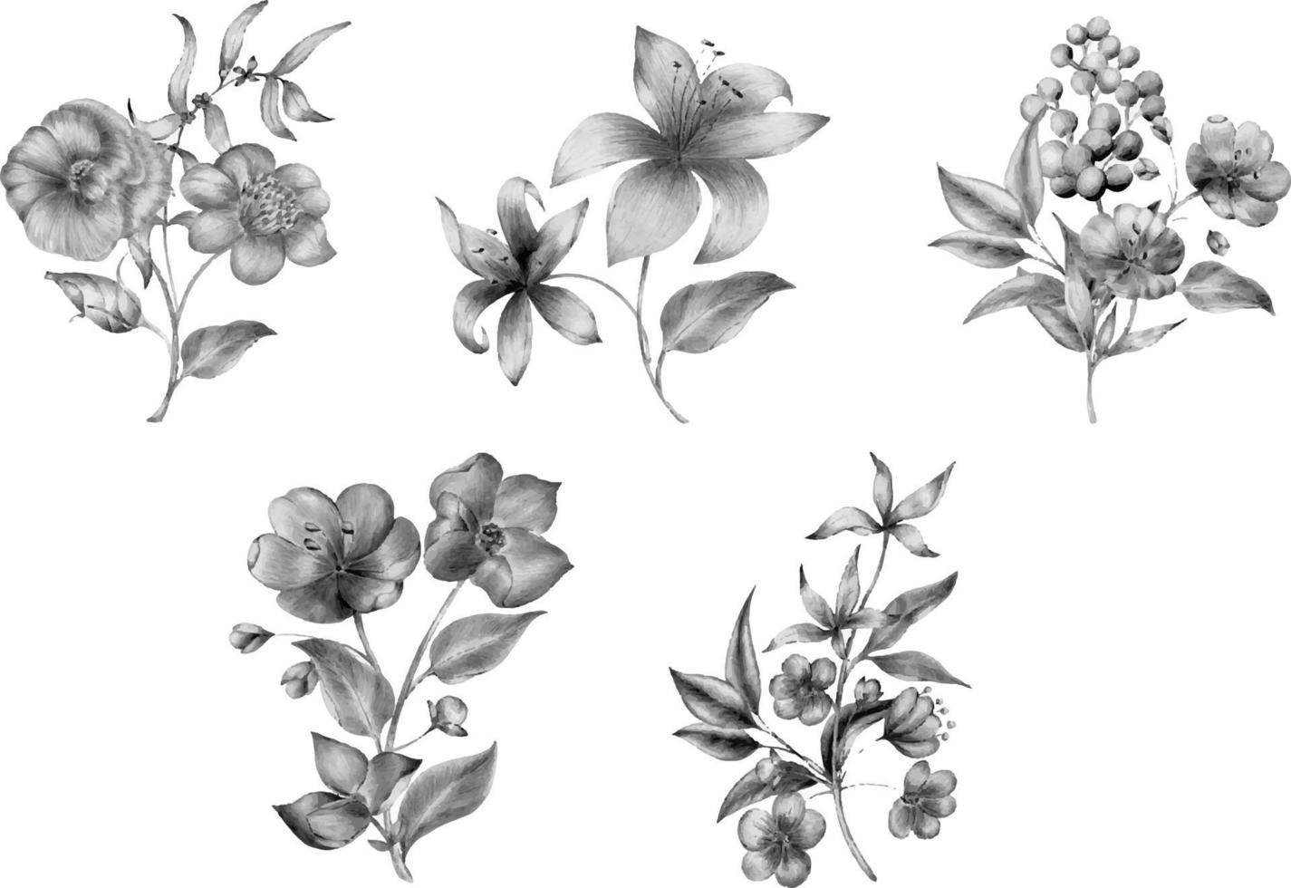 uppsättning av nonokroma blommor och blad. vektor