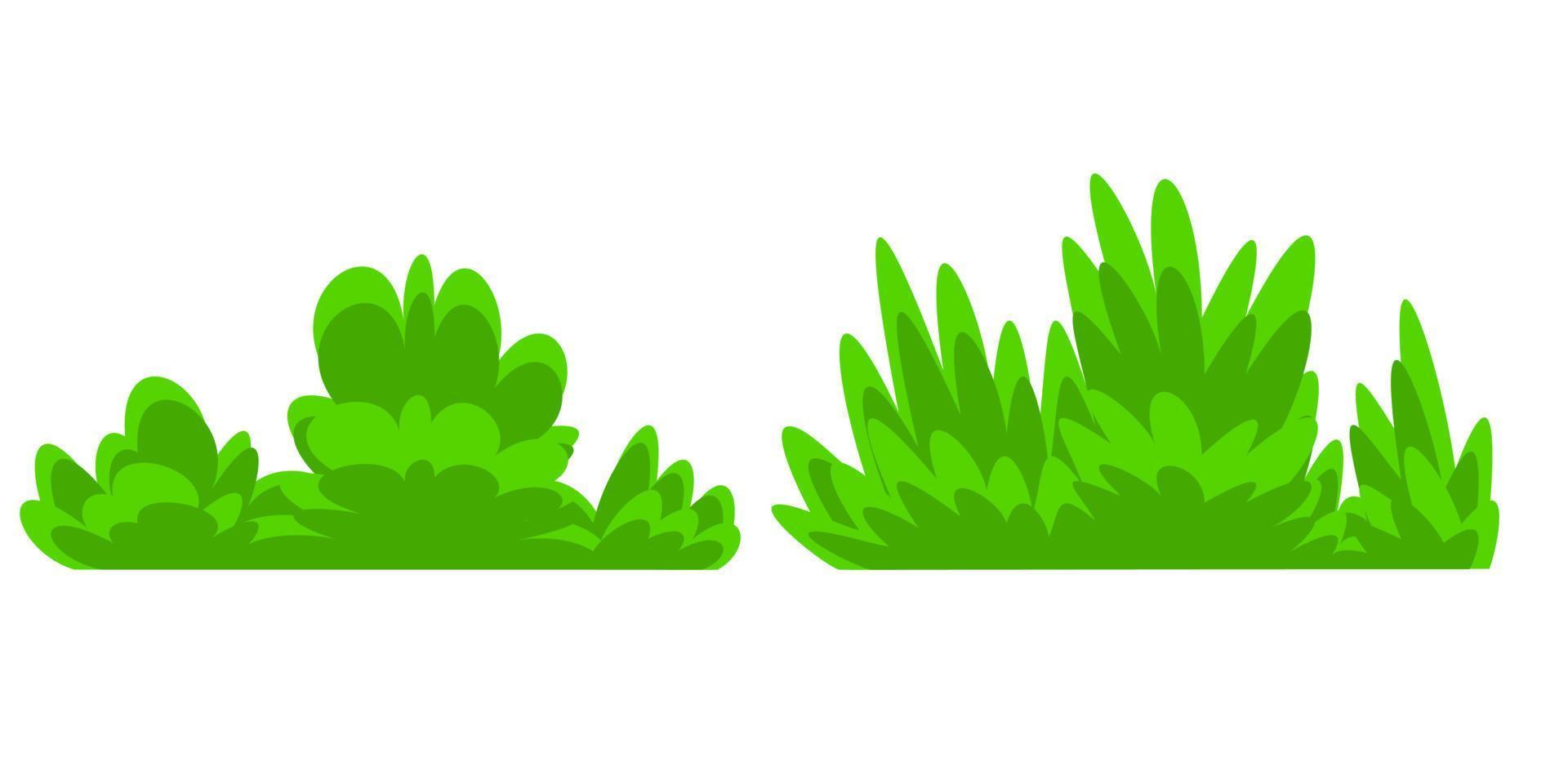 grüner Busch isoliert auf weißem Hintergrund vektor