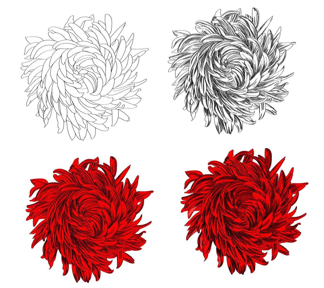 schöne rote Blume mit Skizze. vektor