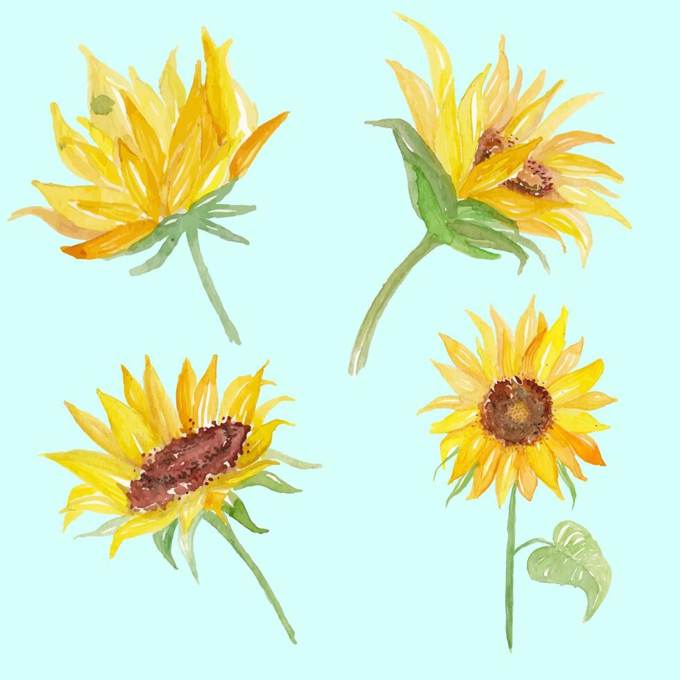 Sonnenblumen-Aquarell-Blume-Hintergrund vektor