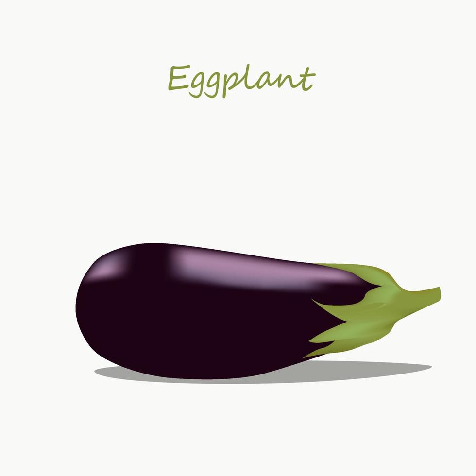 aubergine på vit bakgrund. vektor