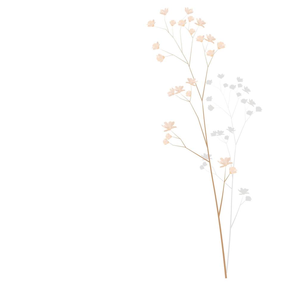 vektor stock illustration av pampas gräs. grädde gren av torrt gräs. panikel cortaderia selloana sydamerika, fjäderblommahuvud plumesstep. mjuk rosa färg. mall för ett bröllopskort.