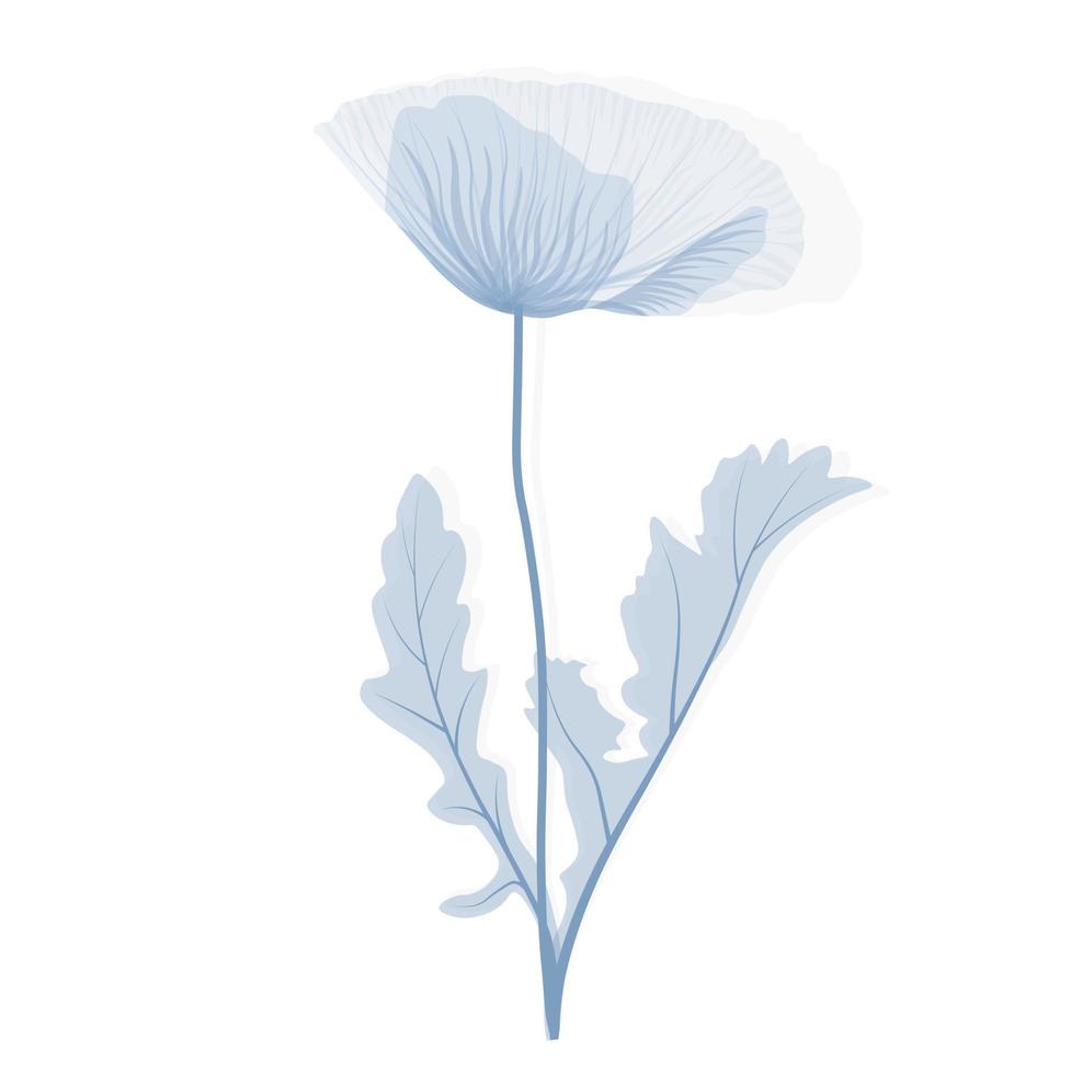 vallmo blomma vektor stock illustration. mjuka blå kronblad. natur. minimalistisk blommig bröllopsinbjudan kort malldesign. isolerad på en vit bakgrund.