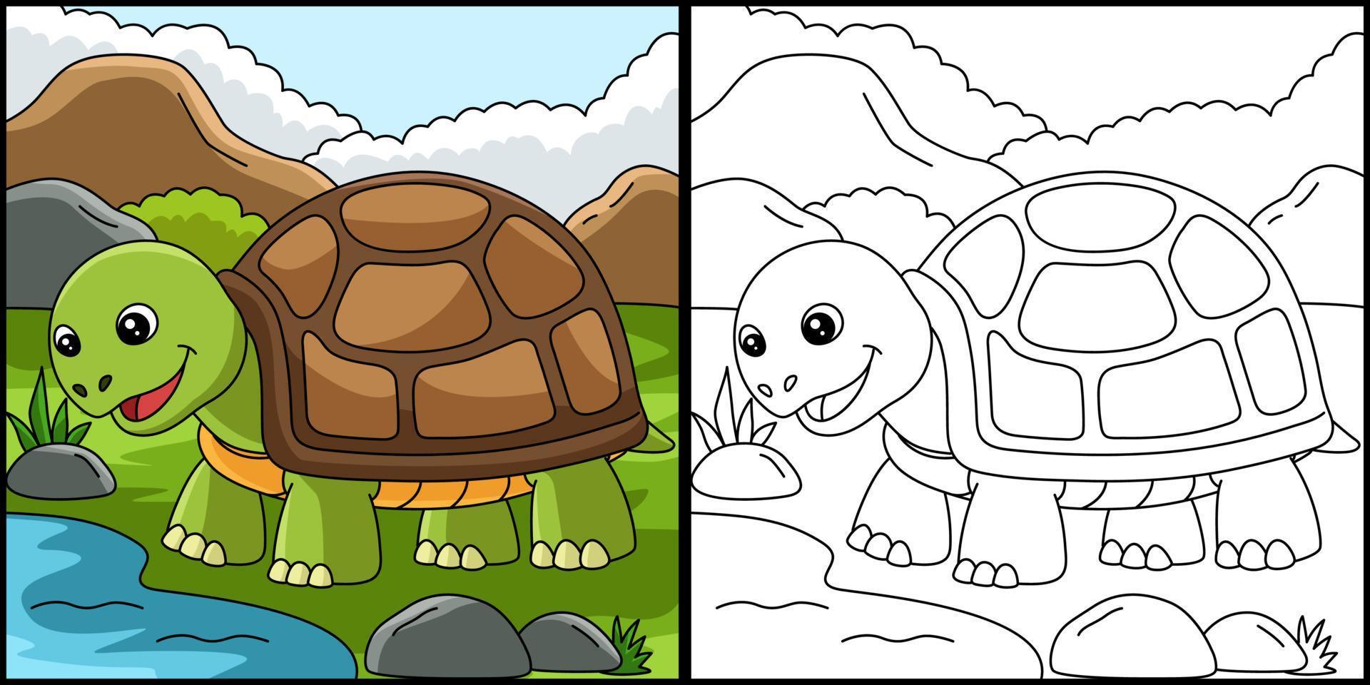 Schildkröte Malvorlagen Tierillustration vektor