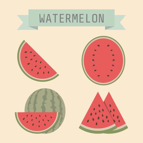 retro vattenmelon ikon vektor