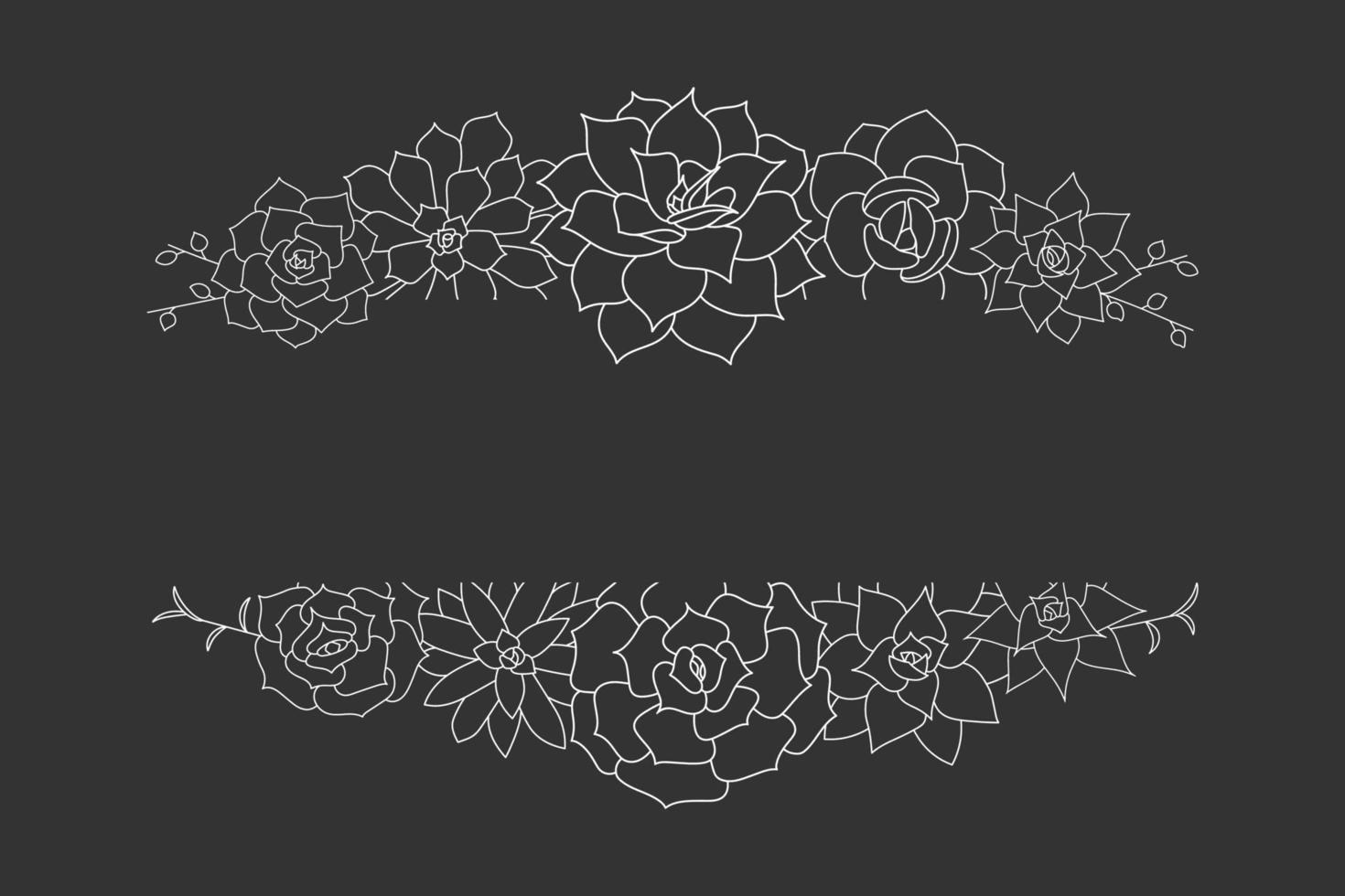 suckulenta echeveria vektor ram för text. handritad öken blomma illustration i doodle stil. ange kontur av växter suckulenter på en svart bakgrund. kant för tryck och design