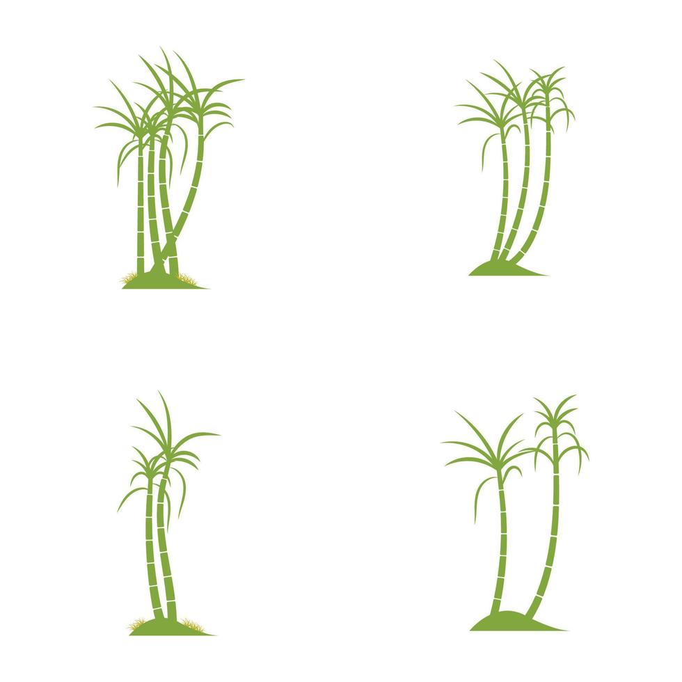 Zuckerrohr-Pflanze-Logo-Vektor-Illustration-design vektor