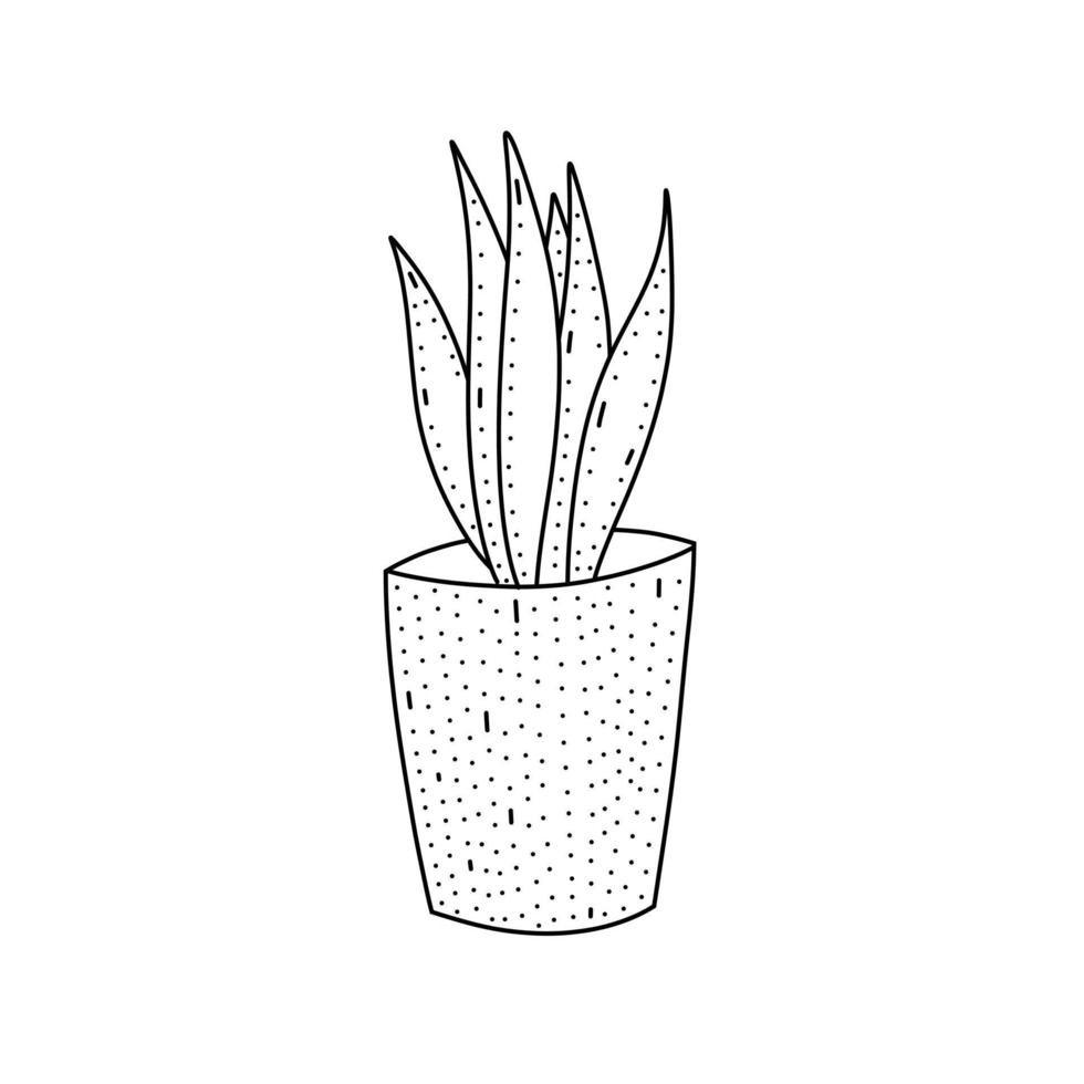 handgezeichnete zimmerpflanze in einem topf. süße Pflanze auf weißem Hintergrund im Doodle-Stil. vektor