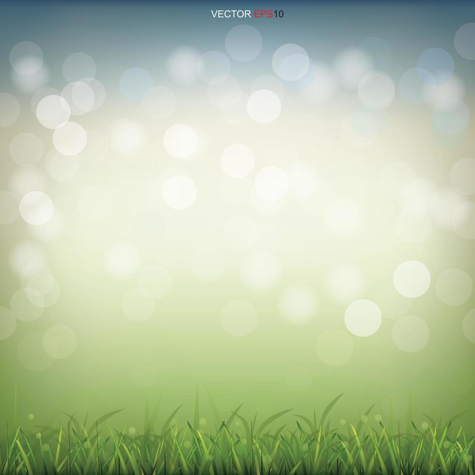 grönt gräsfält med ljus suddig bokeh bakgrund. vektor. vektor