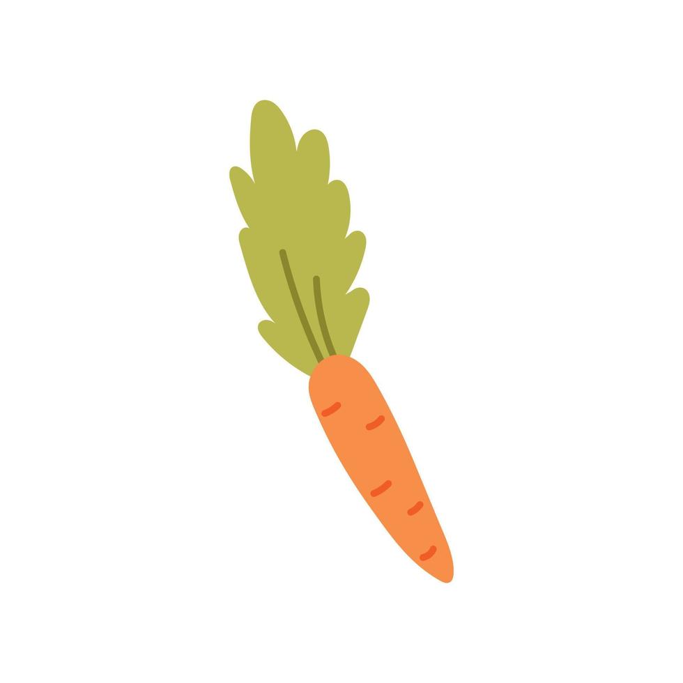 Orange Karottengekritzel vektor
