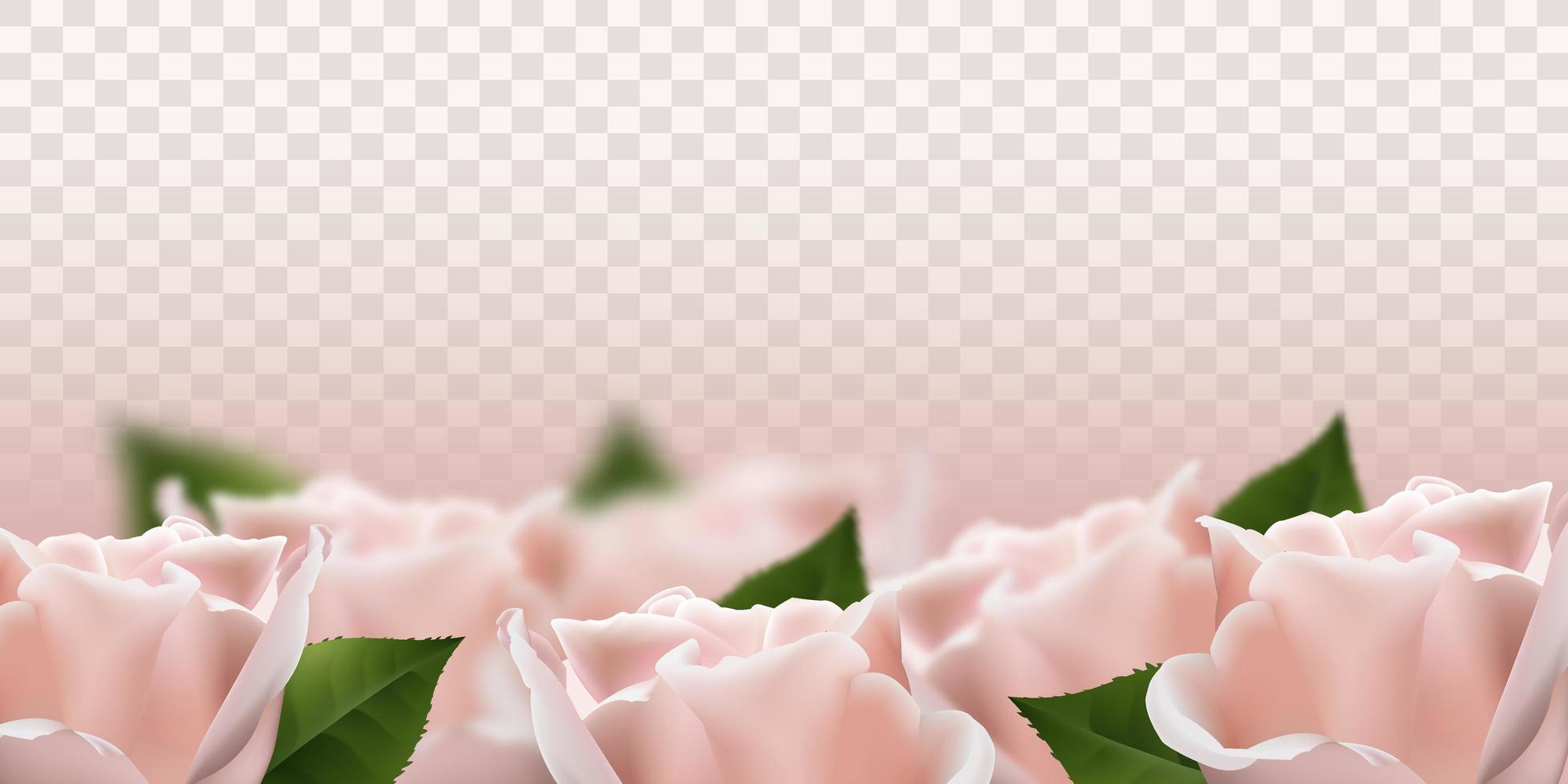 realistische rosa 3d-rosenblumen. Vektor-Illustration vektor