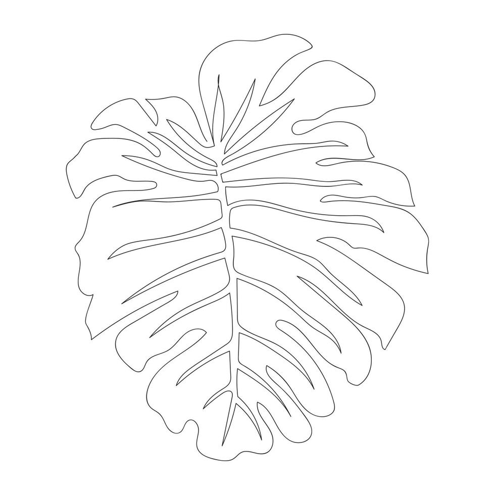 monstera leaf en rad ritning vektorillustration minimalistisk design minimalism stil handritad isolerade en vit bakgrund vektor