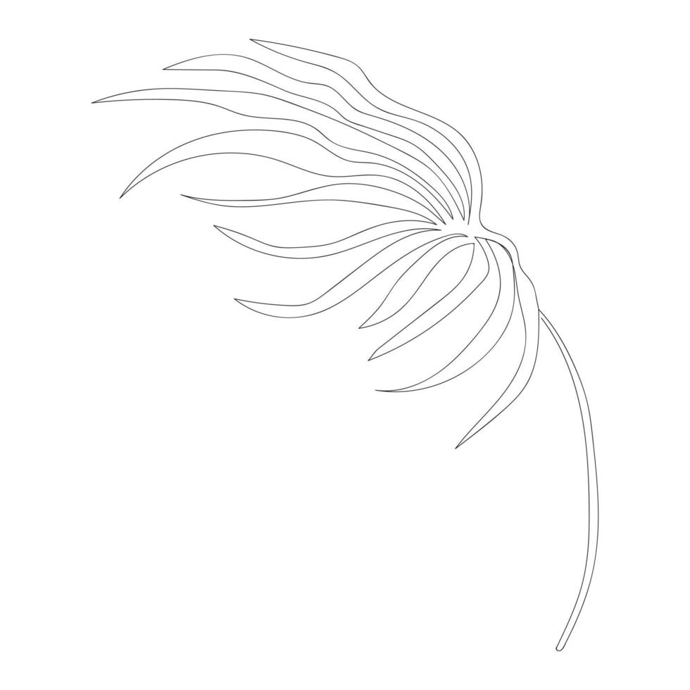 eine strichzeichnung palmblatt isoliert auf weißem hintergrund. elegante dünne Linien. Vektor-Illustration. vektor