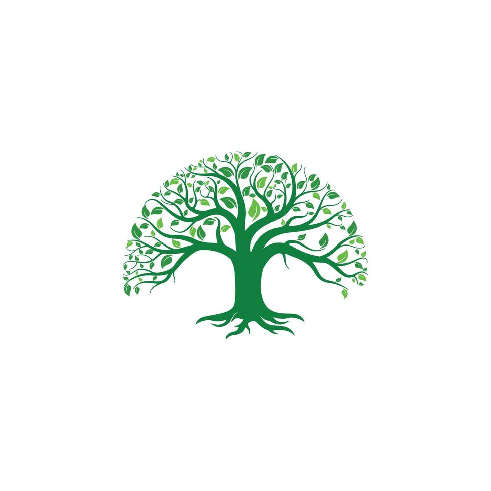 Baum-Logo-Design vektor