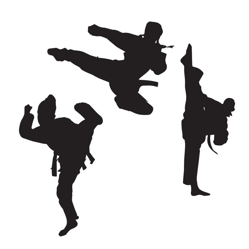 weibliche Kampfkunst-Karate-Silhouette vektor